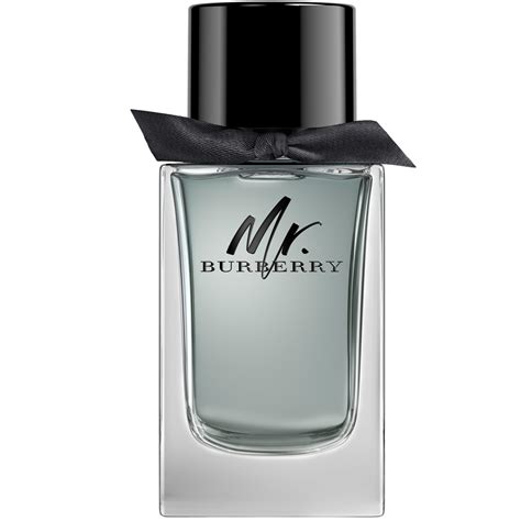 burberry mr edt 150 ml erkek parfümü|burberry fragrance for men.